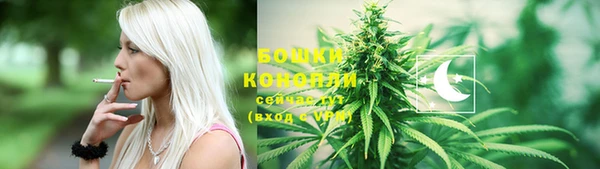 бошки Аркадак