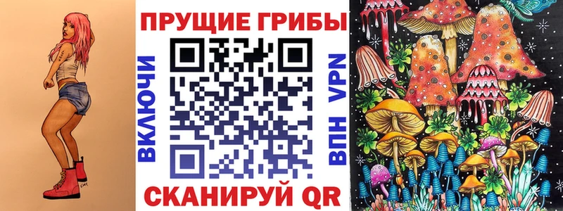 Псилоцибиновые грибы MAGIC MUSHROOMS  наркота  Нестеровская 