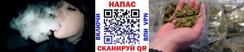 ссылка на мегу маркетплейс  Нестеровская  Бошки Шишки тримм 